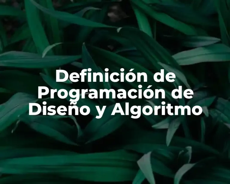 Definición de Programación de Diseño y Algoritmo