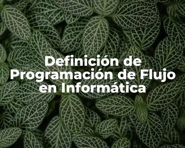 Definición de Programación de Flujo en Informática