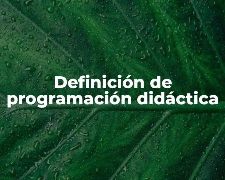 Definición de programación didáctica