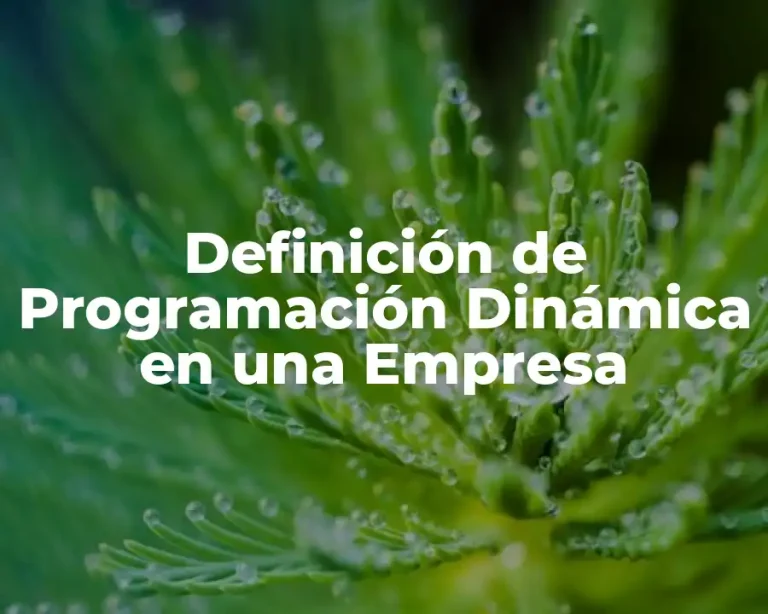 Definición de Programación Dinámica en una Empresa
