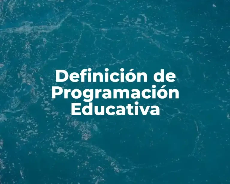 Definición de Programación Educativa