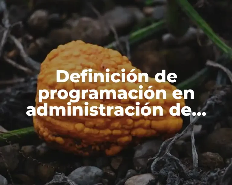 Definición de programación en administración de proyectos