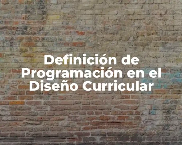 Definición de Programación en el Diseño Curricular