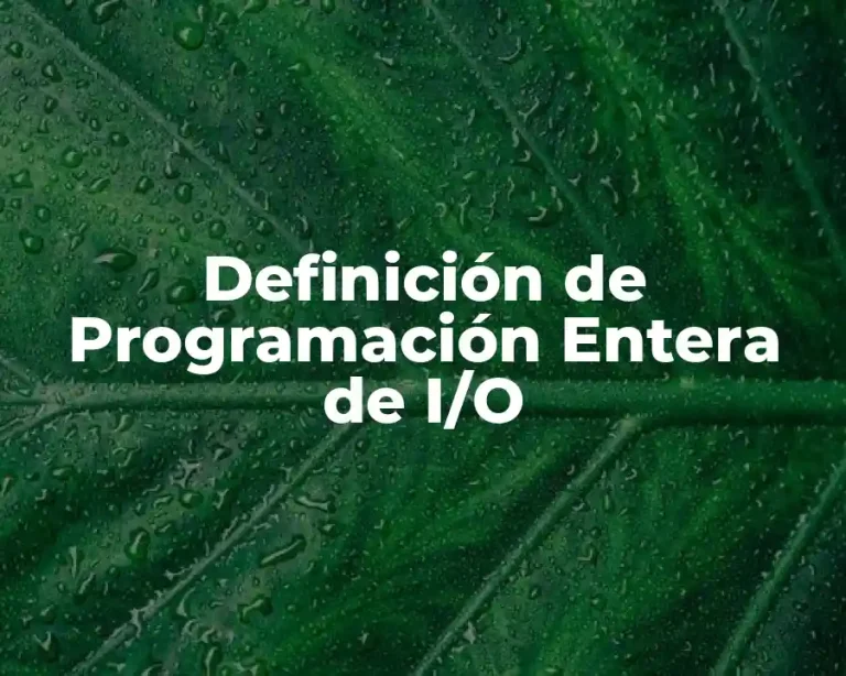 Definición de Programación Entera de I/O