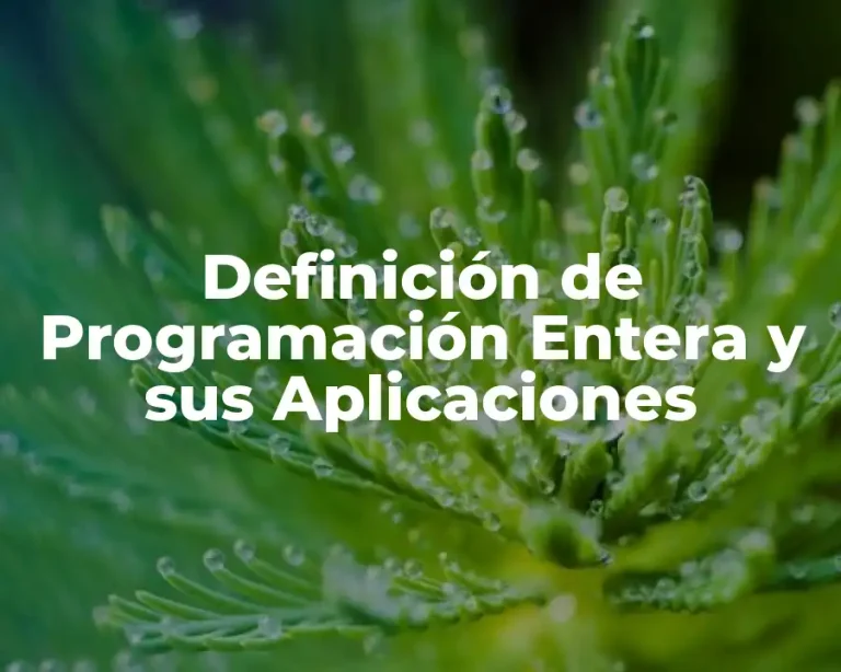 Definición de Programación Entera y sus Aplicaciones