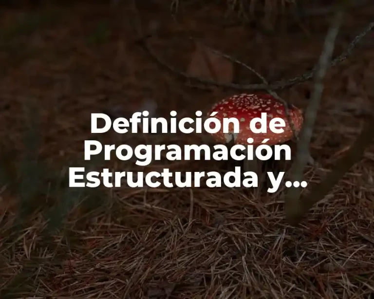 Definición de Programación Estructurada y Orientada a Objetos