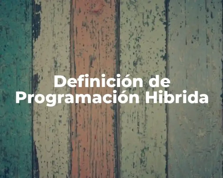 Definición de Programación Hibrida