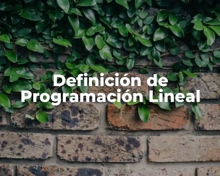 Definición de Programación Lineal