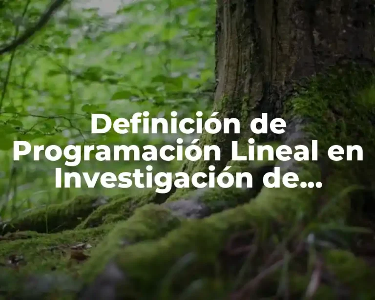 Definición de Programación Lineal en Investigación de Operaciones