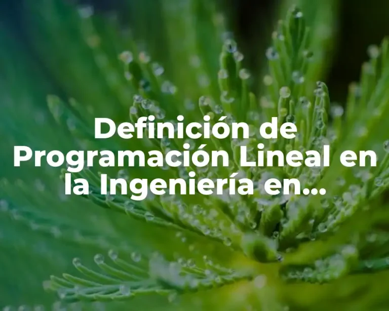 Definición de Programación Lineal en la Ingeniería en Sistemas Computacionales