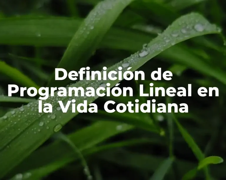 Definición de Programación Lineal en la Vida Cotidiana