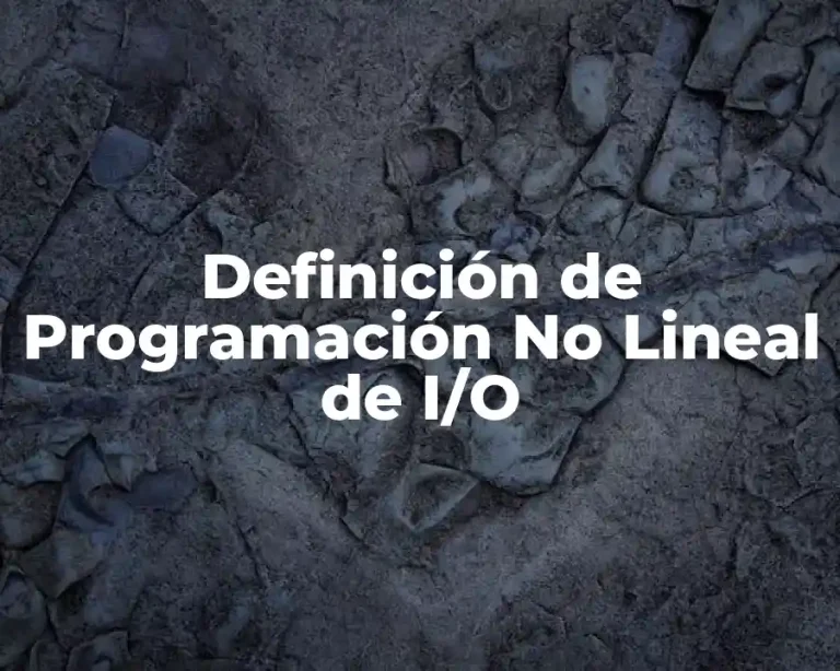 Definición de Programación No Lineal de I/O