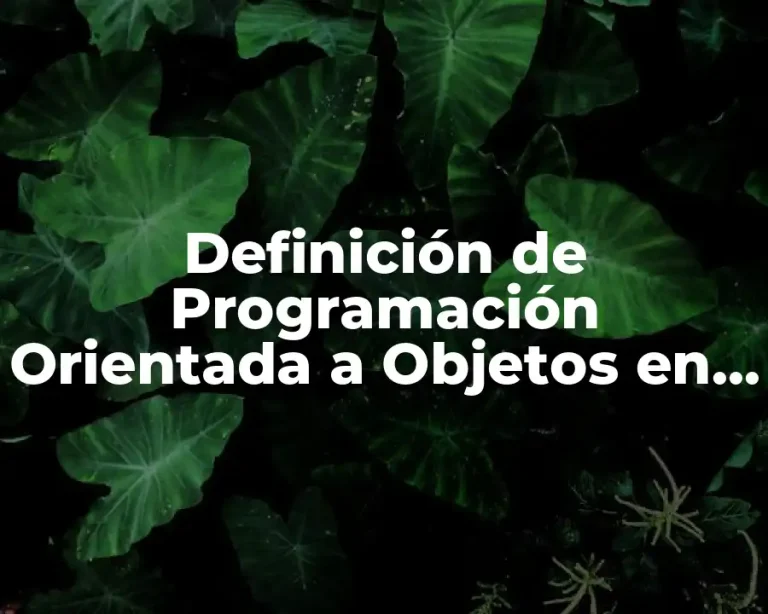 Definición de Programación Orientada a Objetos en Informática