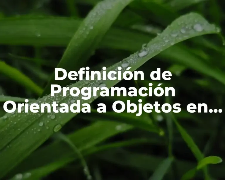 Definición de Programación Orientada a Objetos en Java