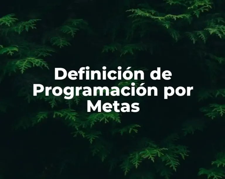Definición de Programación por Metas