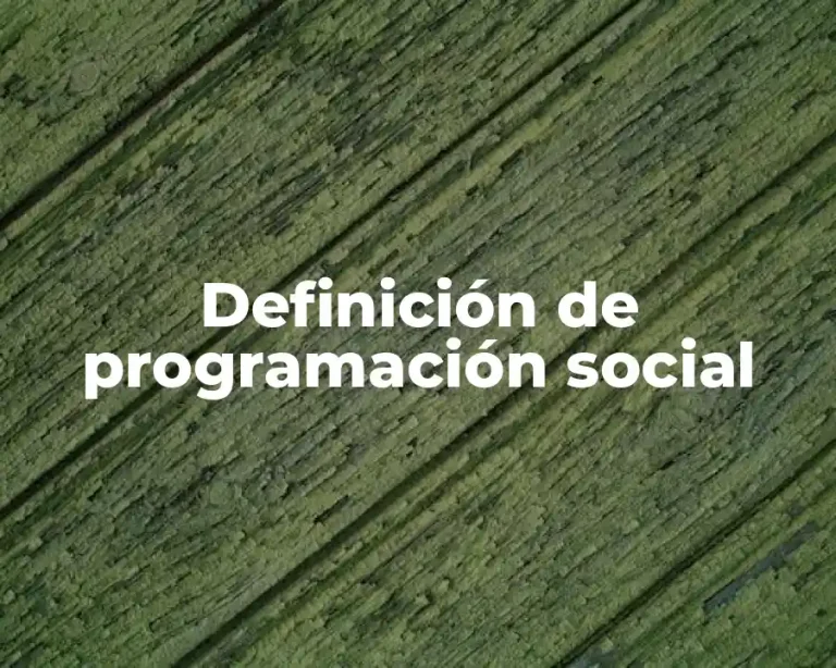 Definición de programación social