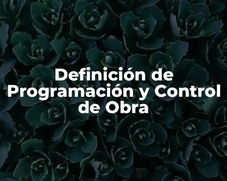 Definición de Programación y Control de Obra
