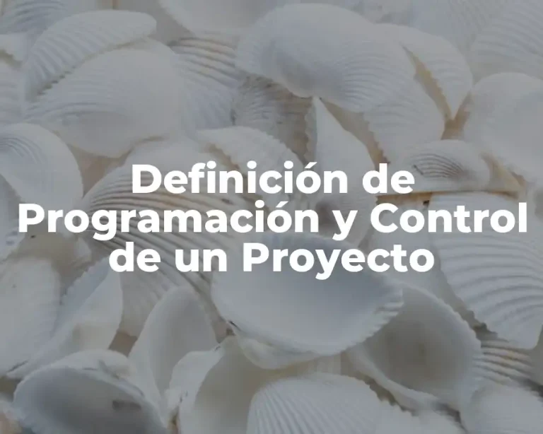 Definición de Programación y Control de un Proyecto