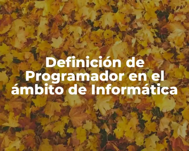 Definición de Programador en el ámbito de Informática