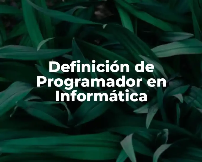 Definición de Programador en Informática