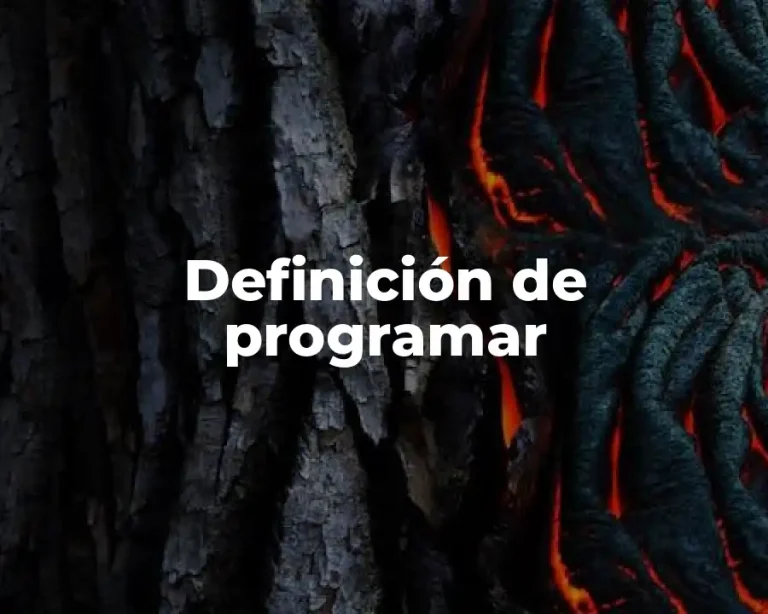 Definición de programar