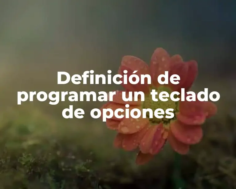 Definición de programar un teclado de opciones