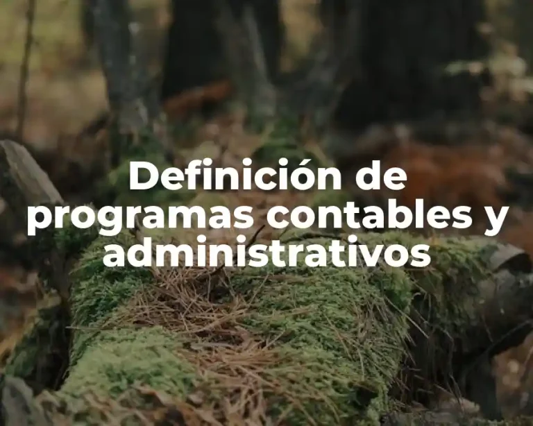 Definición de programas contables y administrativos