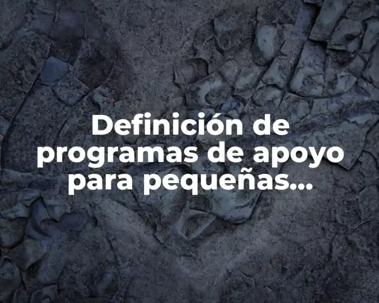 Definición de programas de apoyo para pequeñas empresas