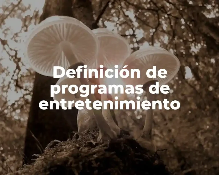 Definición de programas de entretenimiento
