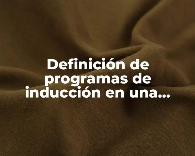 Definición de programas de inducción en una empresa