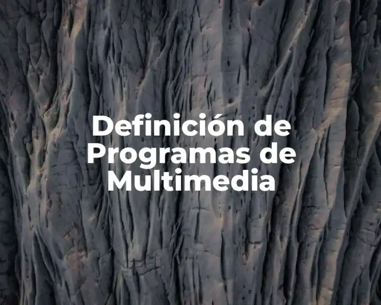 Definición de Programas de Multimedia