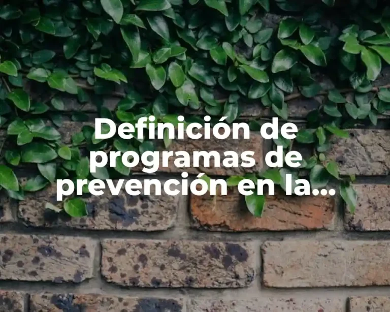 Definición de programas de prevención en la adolescencia en México