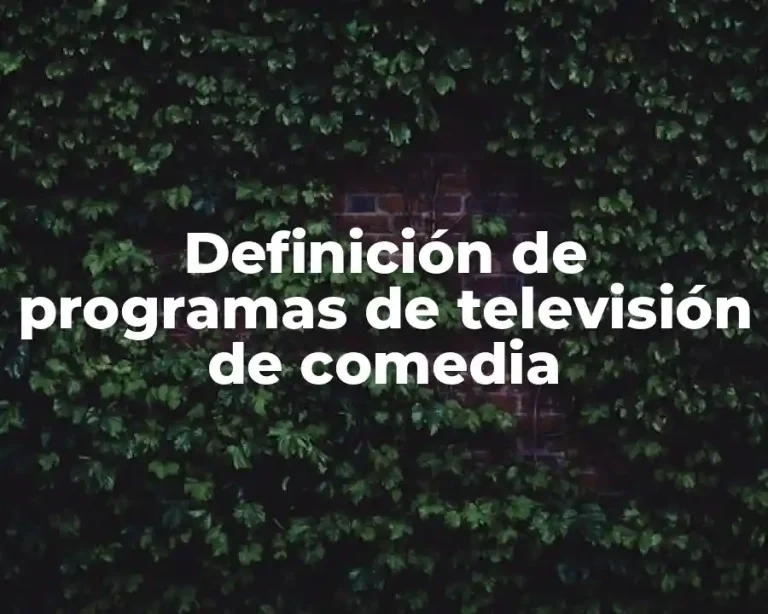 Definición de programas de televisión de comedia