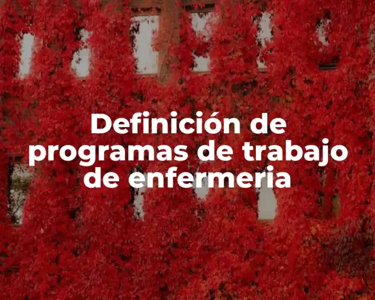 Definición de programas de trabajo de enfermeria