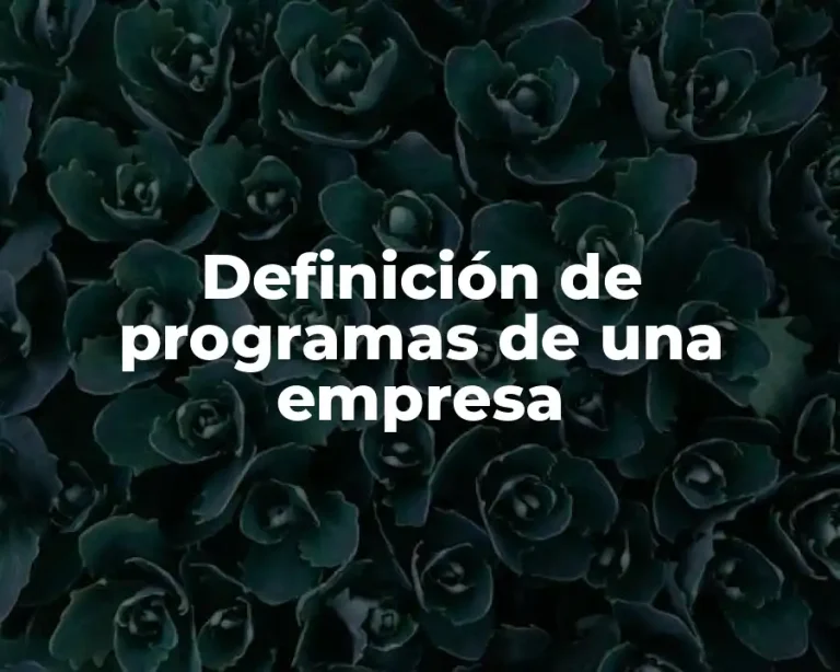 Definición de programas de una empresa
