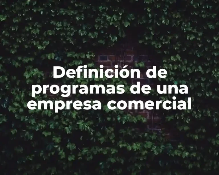 Definición de programas de una empresa comercial
