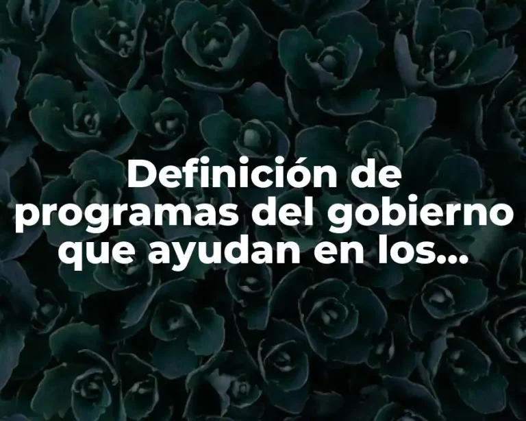 Definición de programas del gobierno que ayudan en los proyectos
