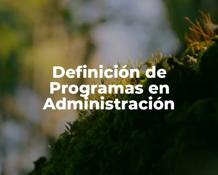 Definición de Programas en Administración