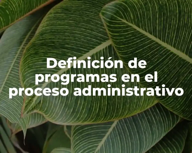 Definición de programas en el proceso administrativo
