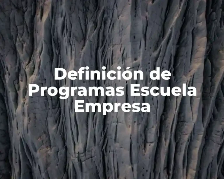 Definición de Programas Escuela Empresa