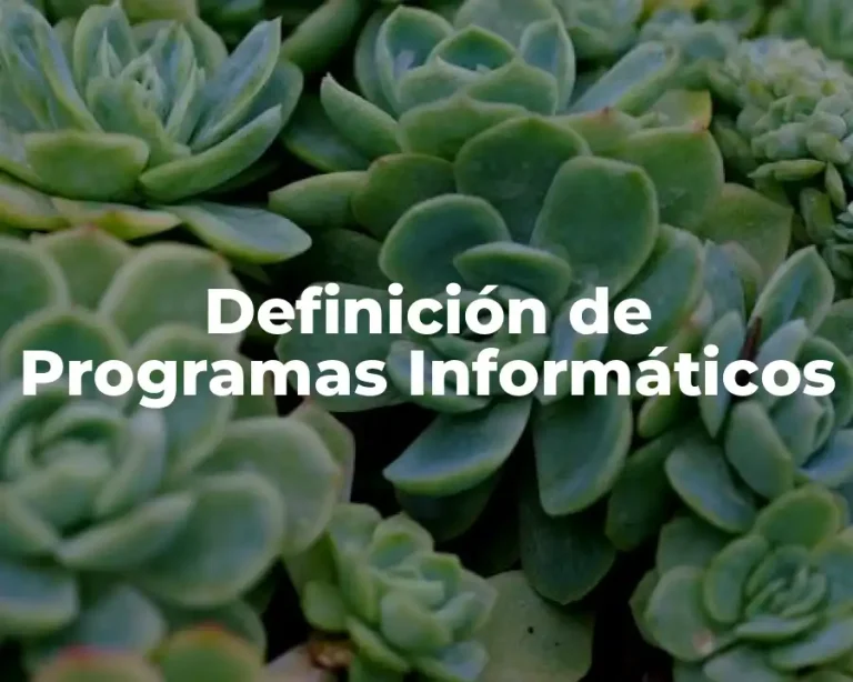 Definición de Programas Informáticos