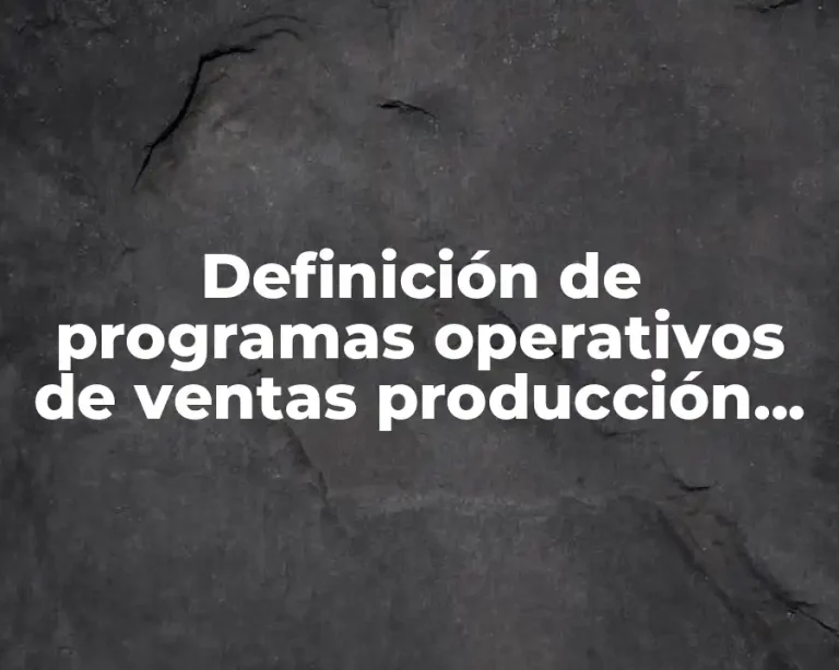 Definición de programas operativos de ventas producción de una paletería