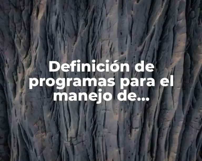 Definición de programas para el manejo de reservaciones en México