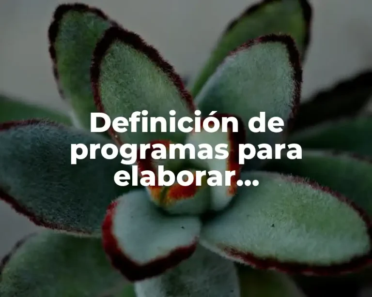 Definición de programas para elaborar presentaciones electrónicas
