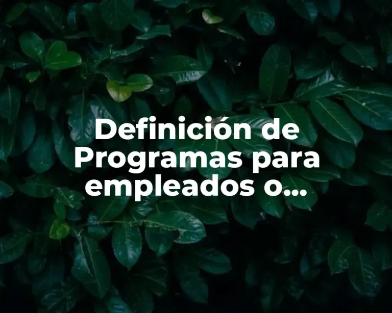 Definición de Programas para empleados o trabajadores