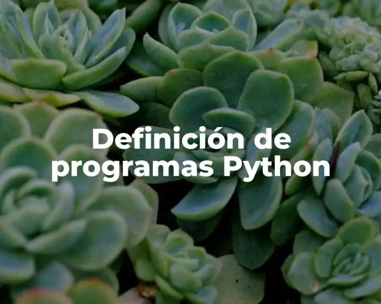 Definición de programas Python