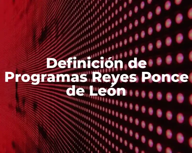 Definición de Programas Reyes Ponce de León