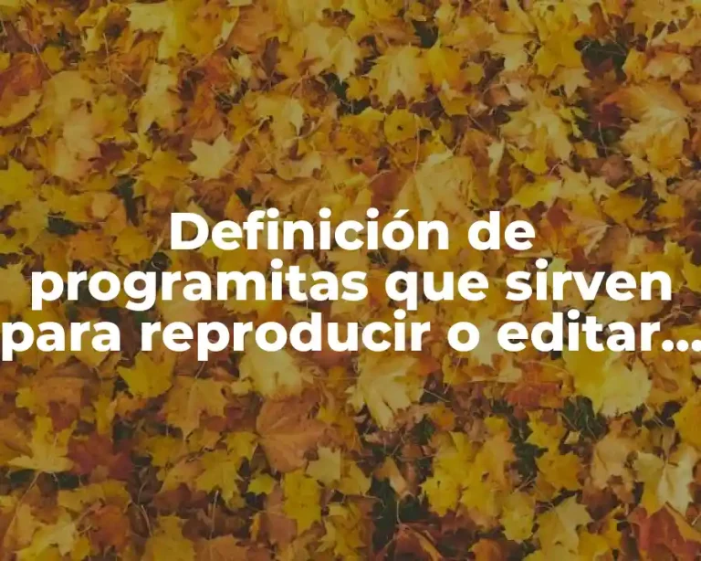 Definición de programitas que sirven para reproducir o editar textos