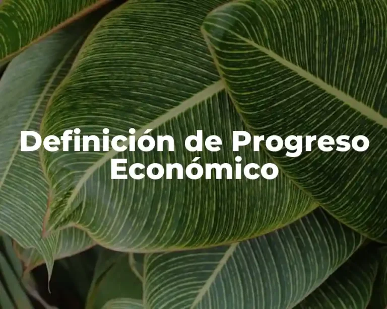 Definición de Progreso Económico