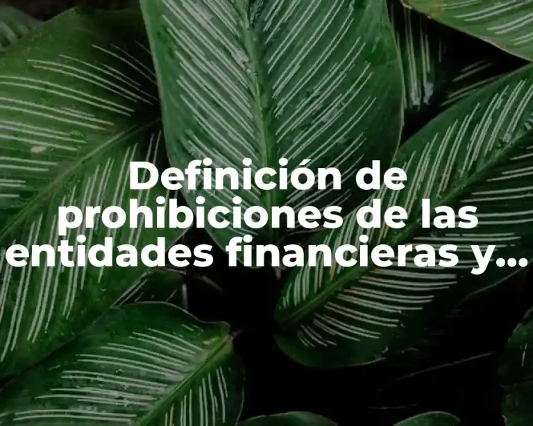Definición de prohibiciones de las entidades financieras y usuarios